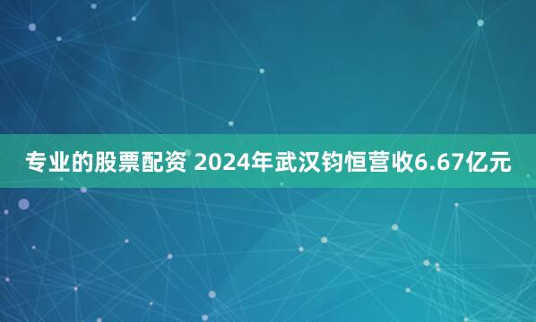 专业的股票配资 2024年武汉钧恒营收6.67亿元