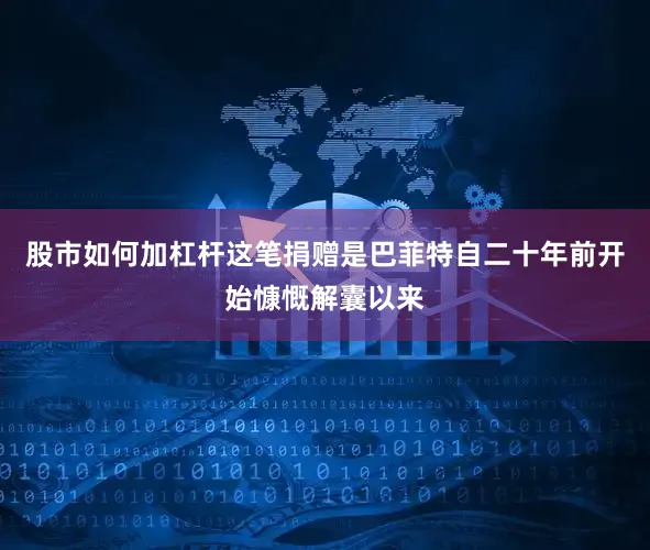 股市如何加杠杆这笔捐赠是巴菲特自二十年前开始慷慨解囊以来