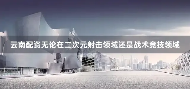 云南配资无论在二次元射击领域还是战术竞技领域