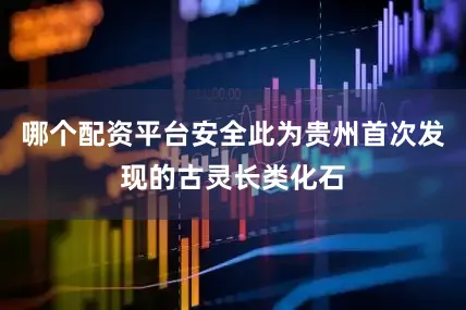 哪个配资平台安全此为贵州首次发现的古灵长类化石